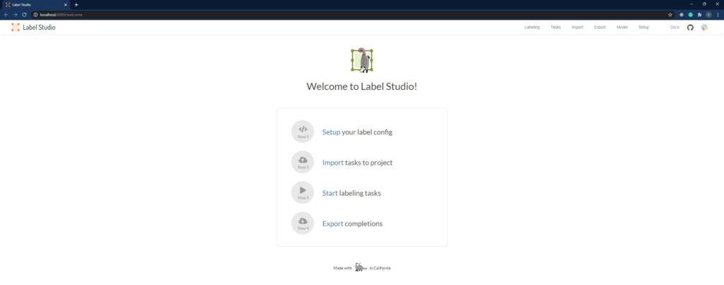 the image labeling studio tool started in the browser
