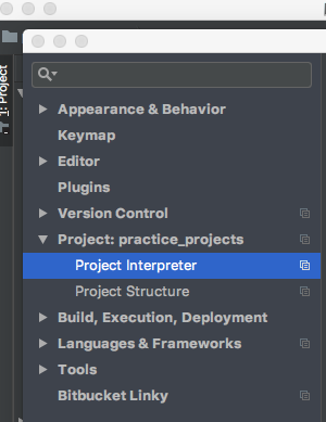 project interpreter